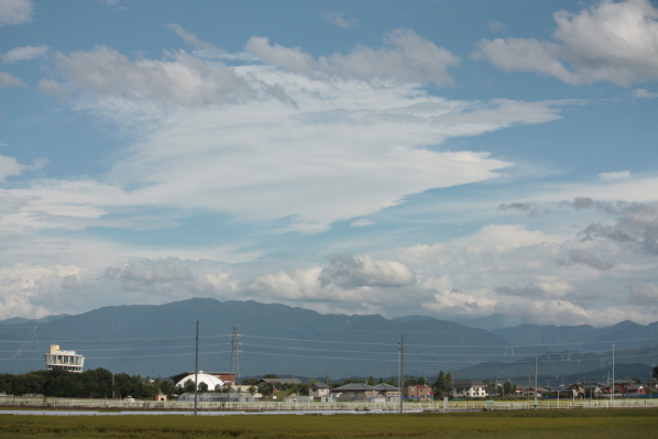 d0001008_15351685.jpg