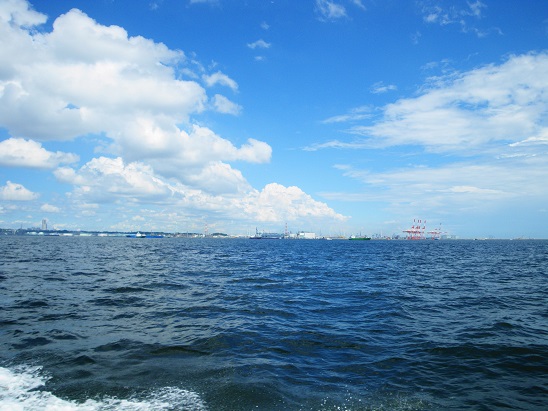 e0123808_040090.jpg
