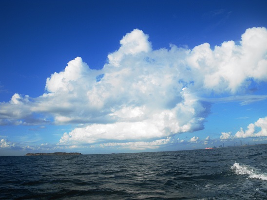 e0123808_1101585.jpg