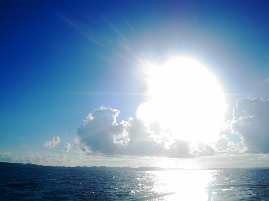 e0123808_1102750.jpg