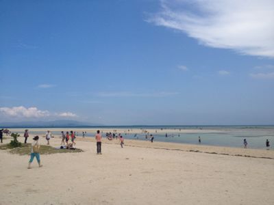 a0159009_1662719.jpg