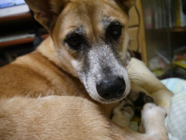 f0218911_3314471.jpg