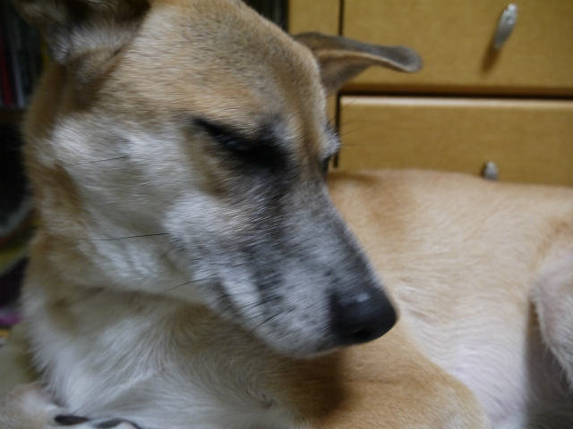 f0218911_3322646.jpg