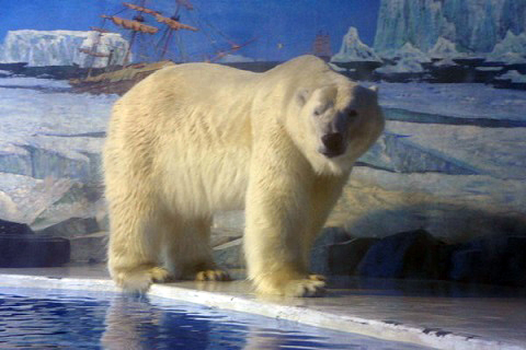 a0151913_0593422.jpg