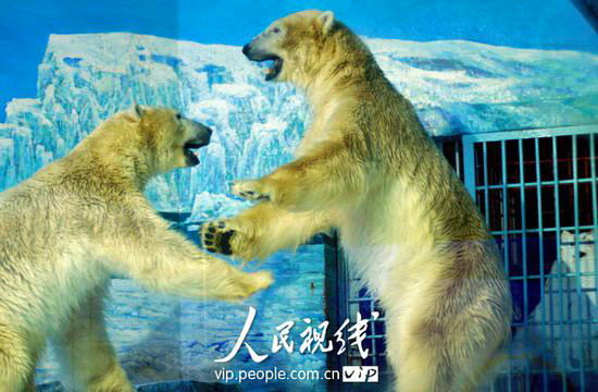 a0151913_16152.jpg