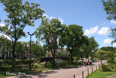 c0071221_18133638.jpg
