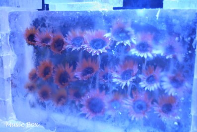 c0071221_1817378.jpg
