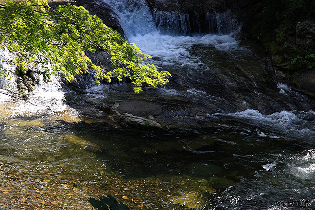 e0112722_1612948.jpg