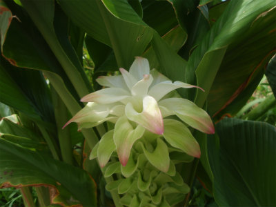 b0008825_21115130.jpg