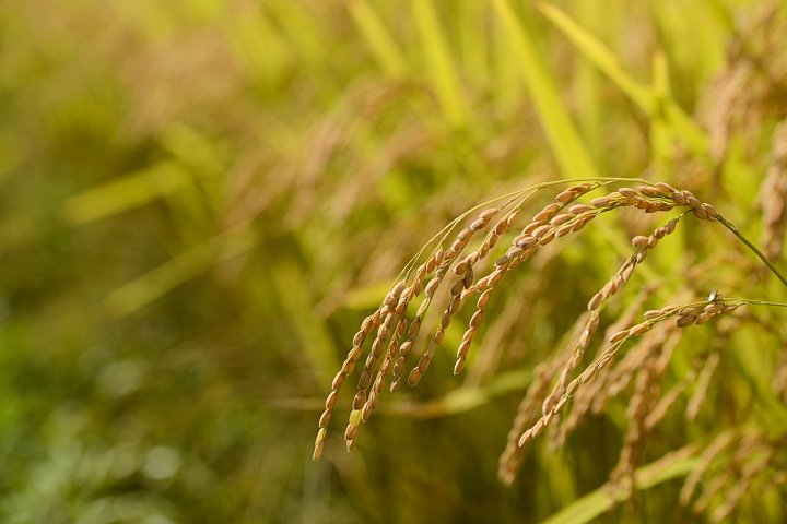 b0134829_21452813.jpg