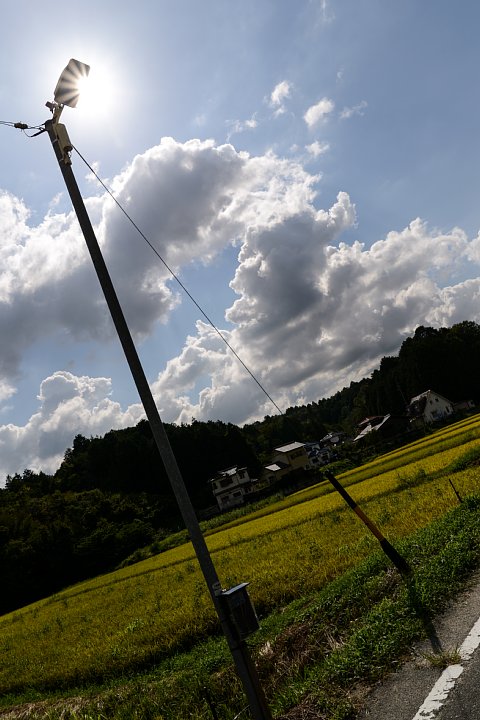 b0134829_2145576.jpg