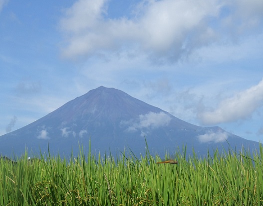 b0089338_15492639.jpg