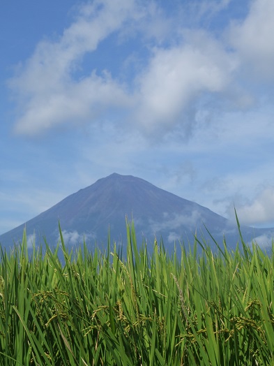 b0089338_154984.jpg