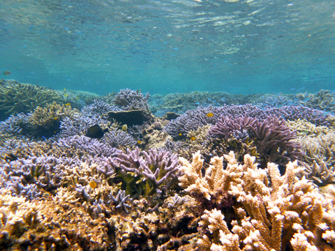 f0014842_16505314.jpg