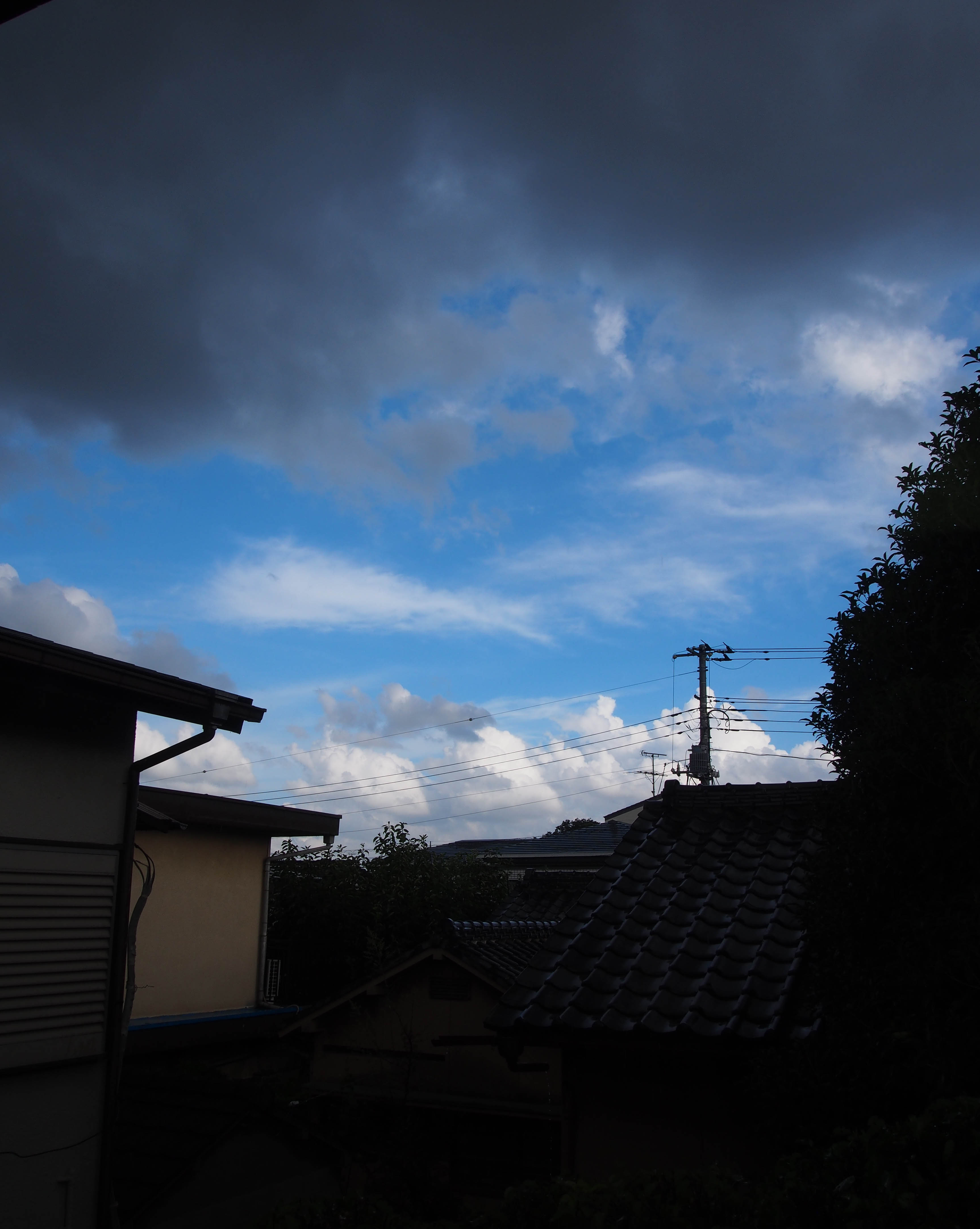 d0317548_6381210.jpg