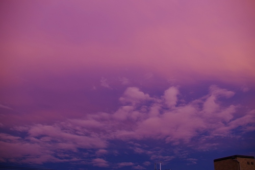 a0299749_22432596.jpg