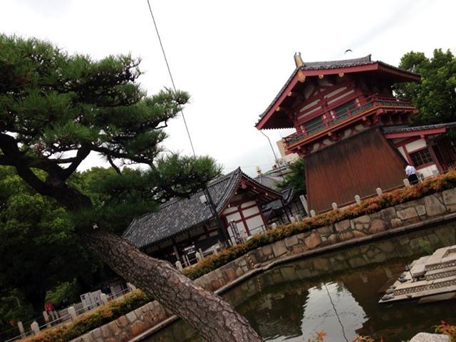d0205250_1882479.jpg
