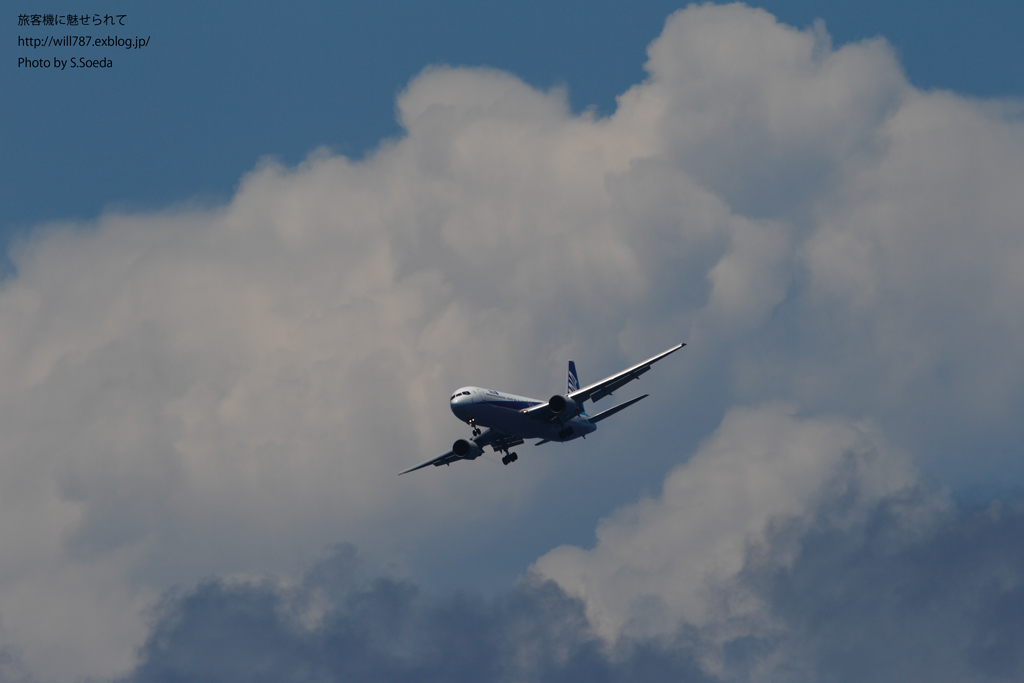 d0242350_1828370.jpg