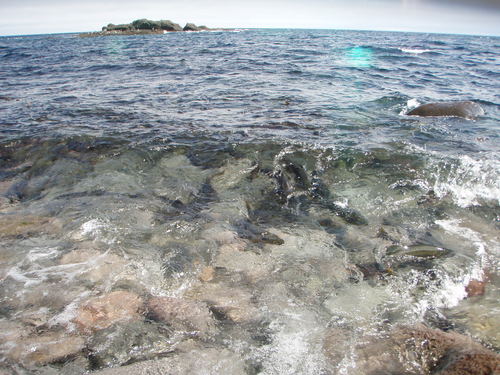 b0237260_21113575.jpg