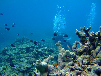 a0104162_1919358.jpg