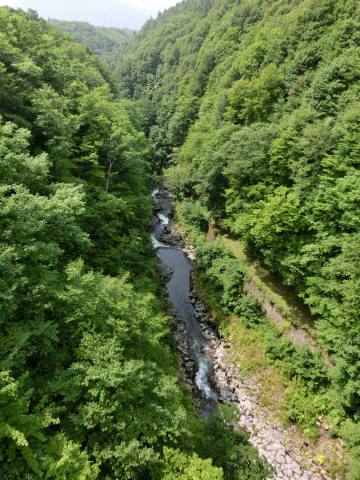 e0045768_2282629.jpg