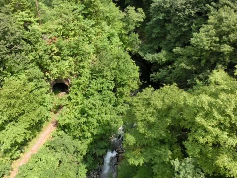 e0045768_229239.jpg