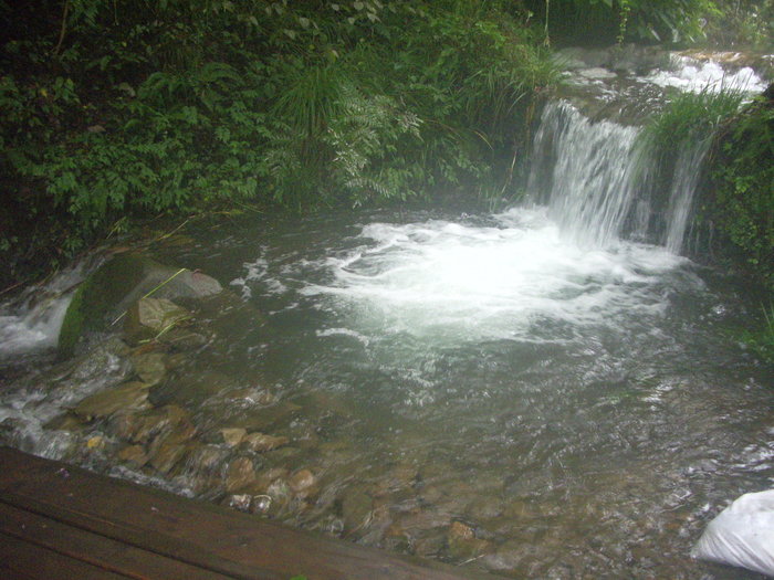 e0185092_20403210.jpg