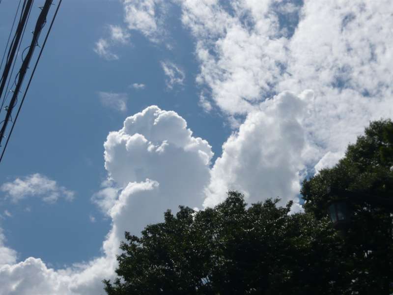 f0085495_2395521.jpg