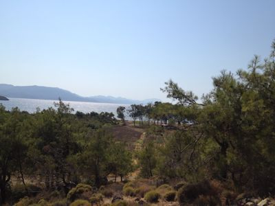 f0255496_16224621.jpg