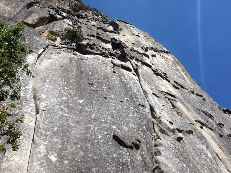 c0210618_815813.jpg