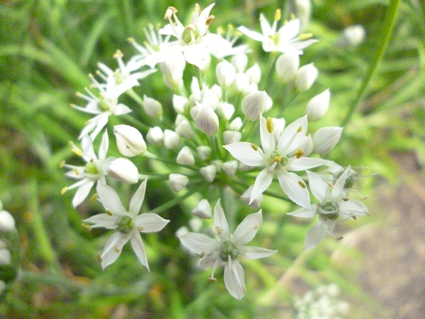 f0228619_1512185.jpg