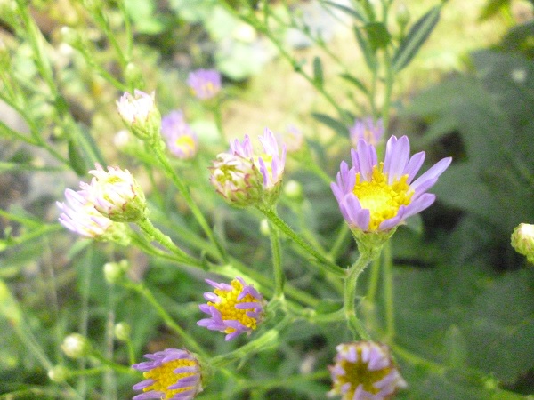 f0228619_157589.jpg