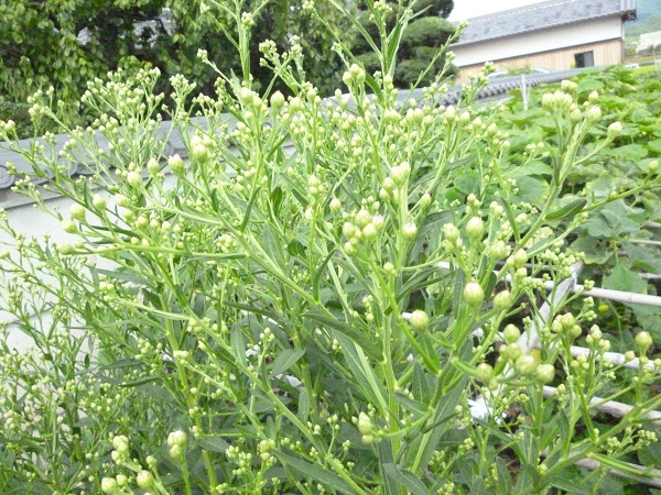 f0228619_1582214.jpg
