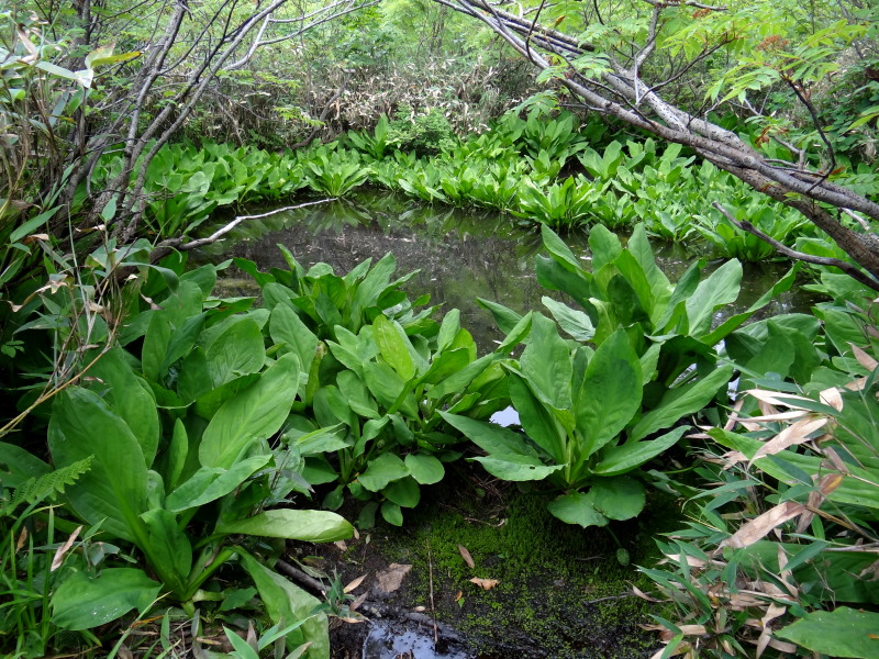 c0085622_2210339.jpg