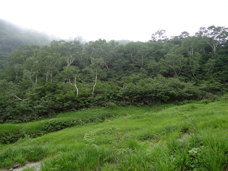 c0085622_22104030.jpg