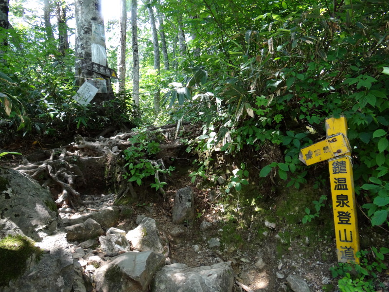 c0085622_22112593.jpg