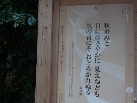 f0108825_15405352.jpg