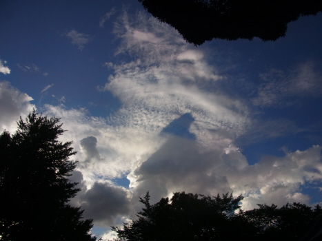 f0108825_15471559.jpg