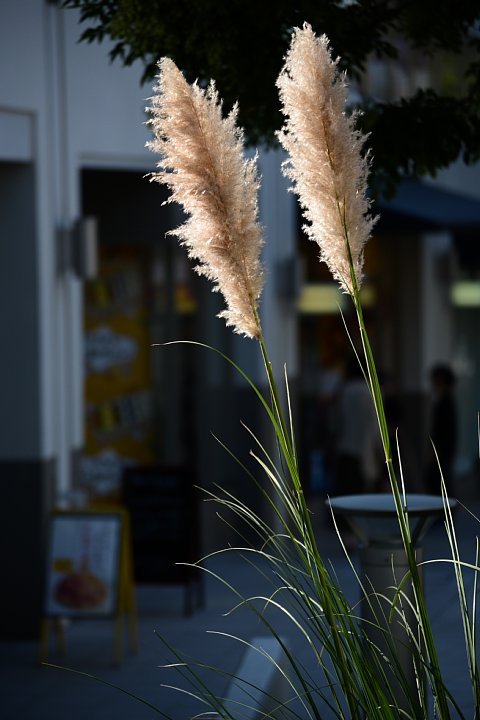 b0134829_20564886.jpg