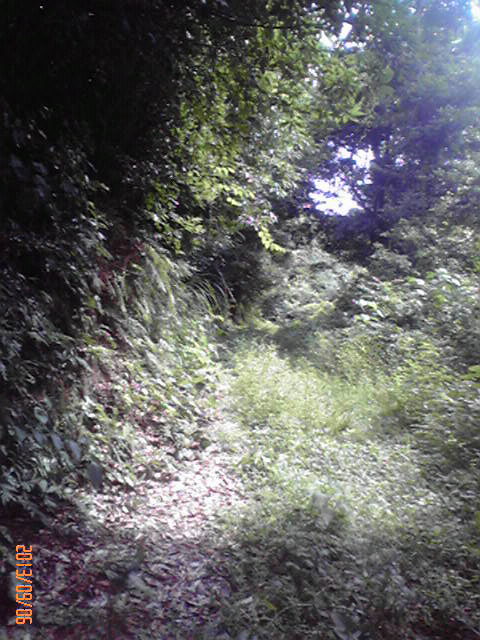 b0222530_16432448.jpg