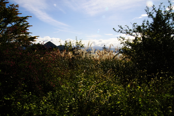 f0045630_16205129.jpg