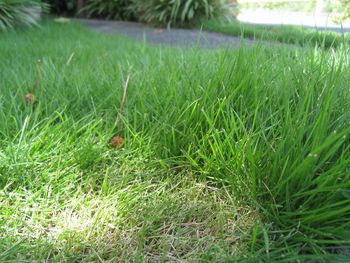 c0134734_21273821.jpg