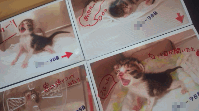 c0136736_20422282.gif
