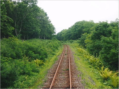 e0022839_1272171.jpg