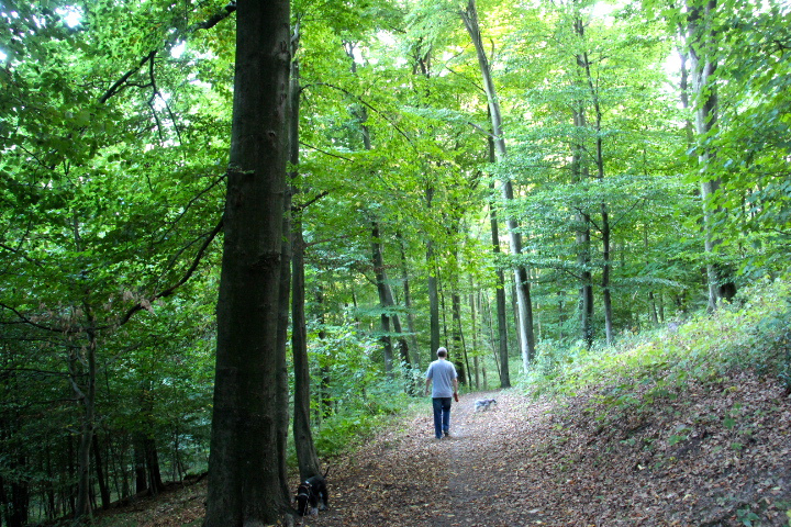 c0153740_17495689.jpg