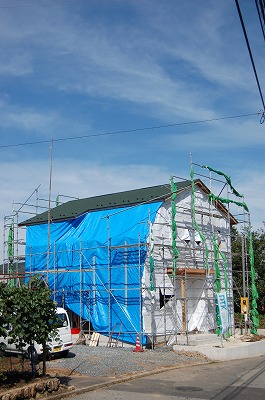 b0082242_10312498.jpg