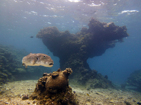 f0014842_20124662.jpg