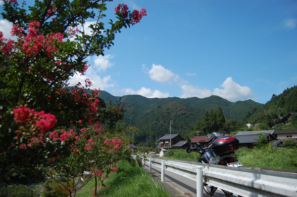 d0164443_22231988.jpg