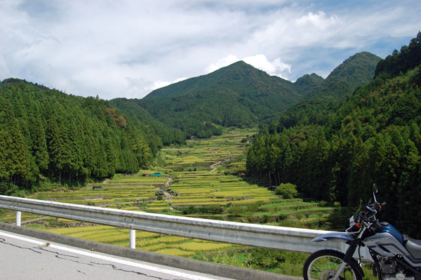 d0164443_22384279.jpg