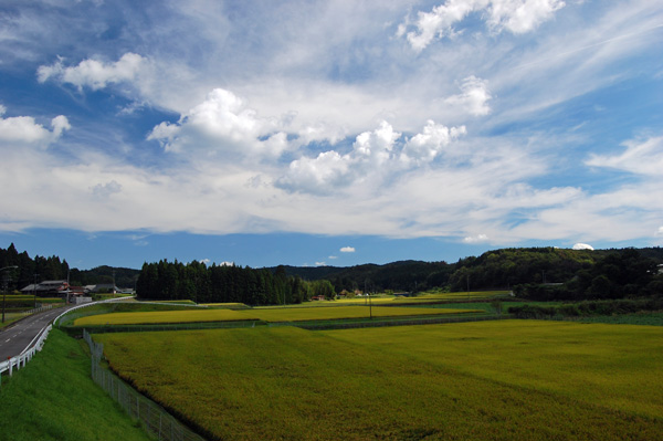 d0164443_2243046.jpg